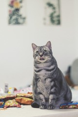 74881