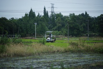 59447
