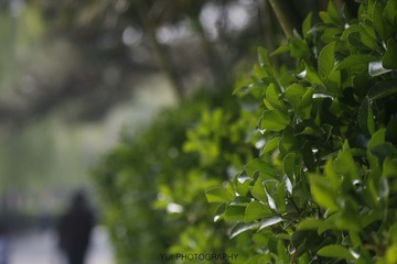 _MG_1305 拷贝.jpg