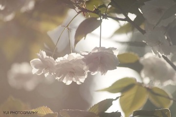 _MG_1344 拷贝.jpg