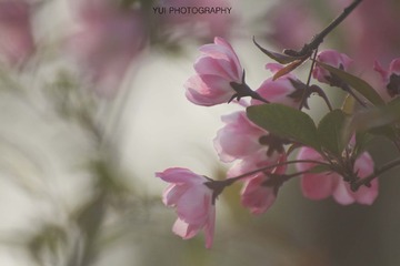 _MG_1370 拷贝.jpg