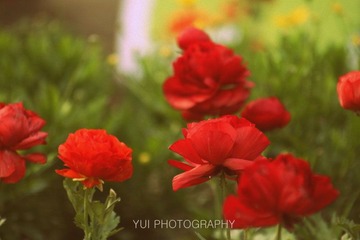 _MG_1487 拷贝.jpg