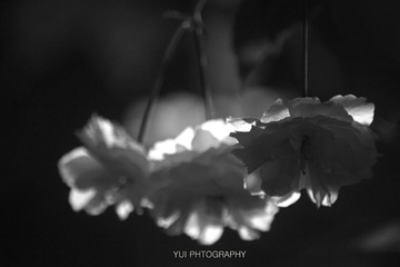 _MG_1343 拷贝.jpg