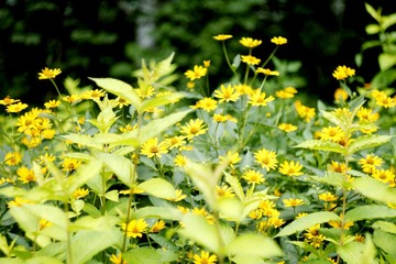 _MG_2820.jpg