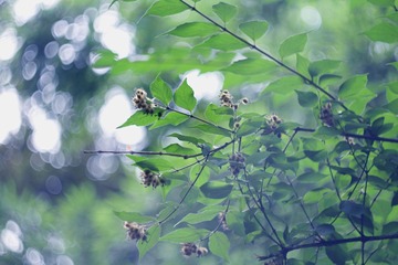 _MG_2843.jpg
