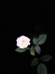 771A5610-AE88-4D1C-8B64-D1D0A83702ED/L0/001