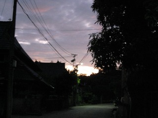 2832037