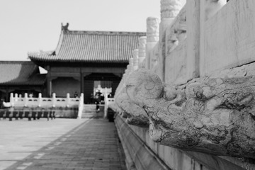 72C713B6-A122-476E-978B-215F0CDA5354/L0/001