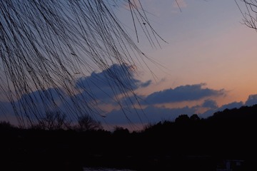 D78F58C3-9B6E-47AE-AC5A-A69EB7EF91A6/L0/001