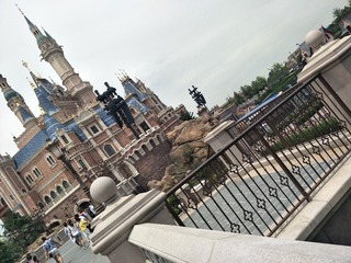 36231