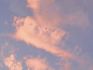 1258145