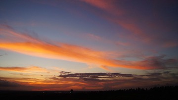 DSC05013.JPG