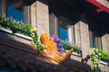 P1050387