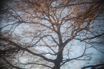 P1050431