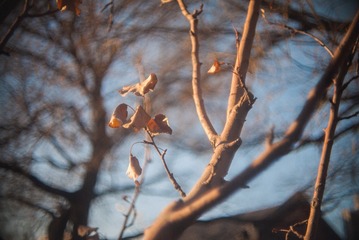 P1050433