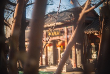P1050434