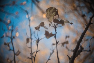 P1050438