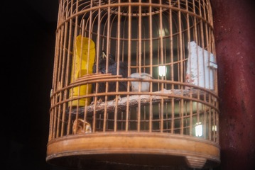 P1050465