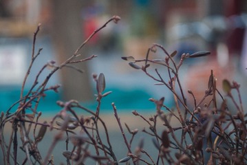 P1050488