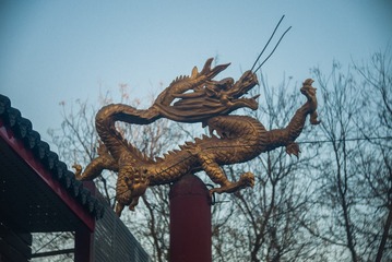 P1050509