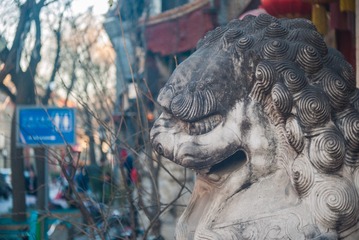 P1050515
