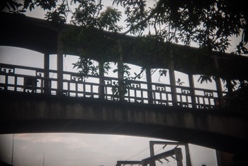 P1080769
