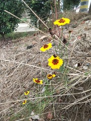 1204303