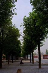 IMGP1382.jpg