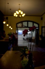 IMGP1849.jpg