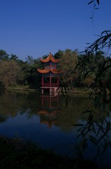 IMGP2064.jpg