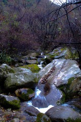 IMGP2714.jpg