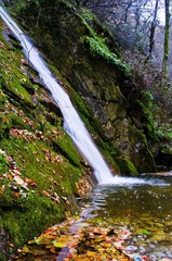 IMGP2809.jpg