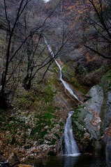IMGP2813.jpg