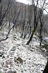 IMGP2844.jpg