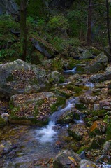 IMGP2885.jpg