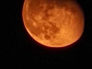 1000019173