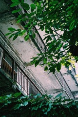 177D8828-F518-4E78-809F-6CD20E963F51/L0/001