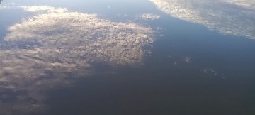 204355