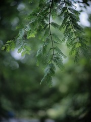 AA56CB8D-598D-4CBB-99E3-E67F4EA23044/L0/001