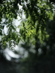 C01491FF-966E-4990-8ED6-019F29BA6A92/L0/001