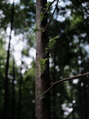 6F9CB10C-56A7-41A1-B819-1EC7C5D40E86/L0/001