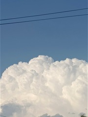 251119