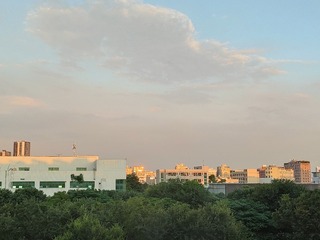1000034750