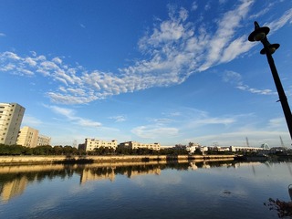 1000034529
