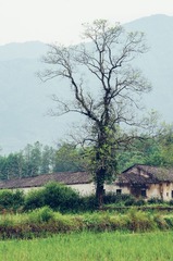 IMGP6209-01