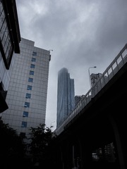 1000018253