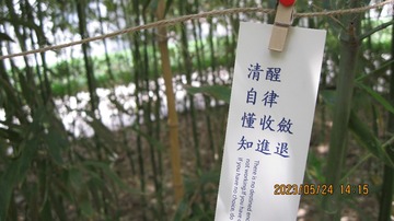 D5DB8715-5C48-4115-BC0C-8B96AA901257/L0/001