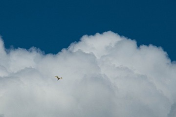 580C931D-930B-4783-92D7-EC3D39580CA5/L0/001