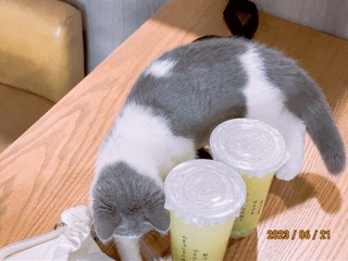 D4419E77-90F9-49AB-A93B-7B029DBBBD6E/L0/001