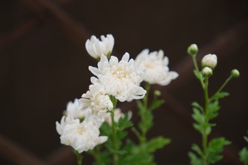 A508997A-4A78-432B-AF66-F0C8CB5D3E40/L0/001